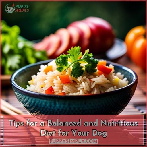 Tips for a Balanced and Nutritious Diet for Your Dog