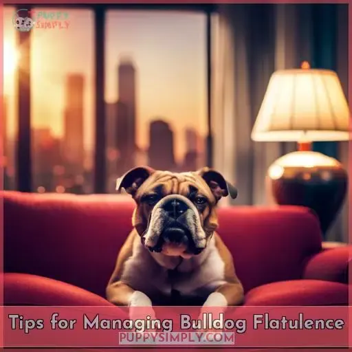Tips for Managing Bulldog Flatulence