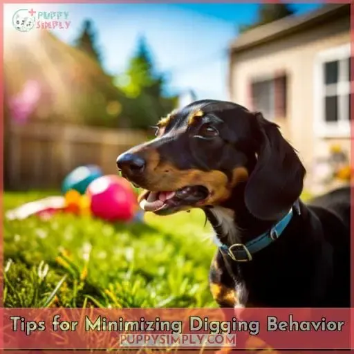 Tips for Minimizing Digging Behavior