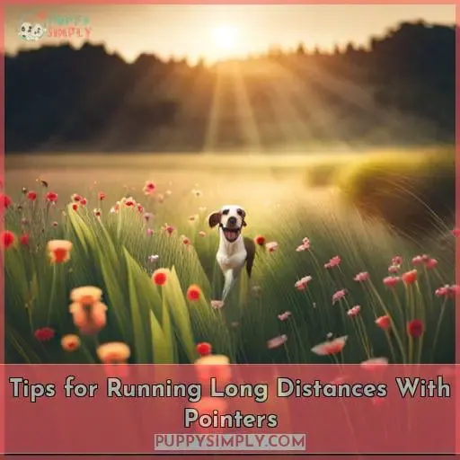 Tips for Running Long Distances With Pointers