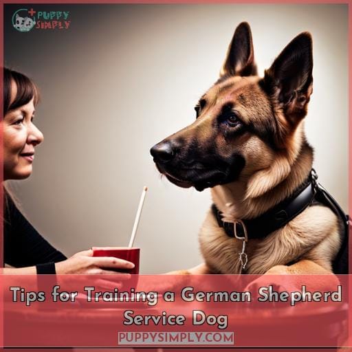 Tips for Training a German Shepherd Service Dog