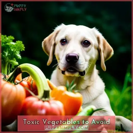 Toxic Vegetables to Avoid