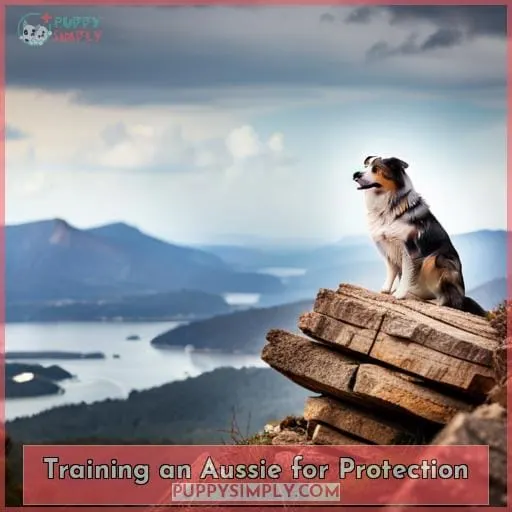 Training an Aussie for Protection