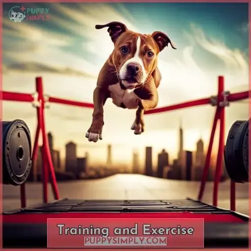 Training and Exercise