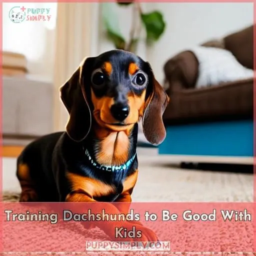 Training Dachshunds to Be Good With Kids