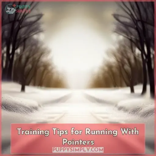 Training Tips for Running With Pointers