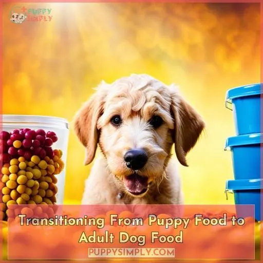 Transitioning From Puppy Food to Adult Dog Food