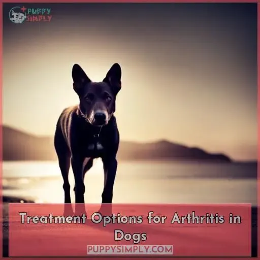 Treatment Options for Arthritis in Dogs