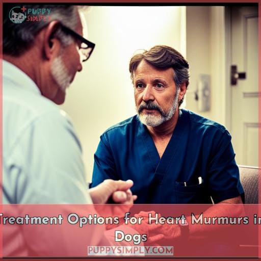 Treatment Options for Heart Murmurs in Dogs