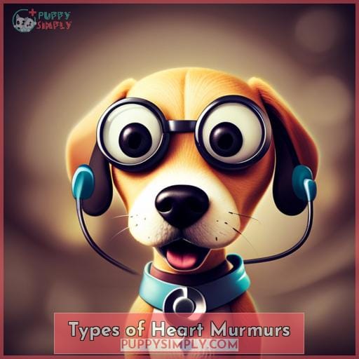 Types of Heart Murmurs