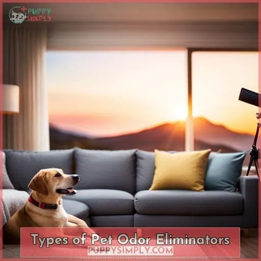 Types of Pet Odor Eliminators