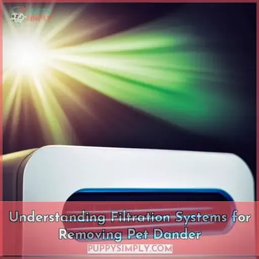 Understanding Filtration Systems for Removing Pet Dander