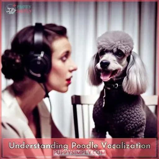 Understanding Poodle Vocalization