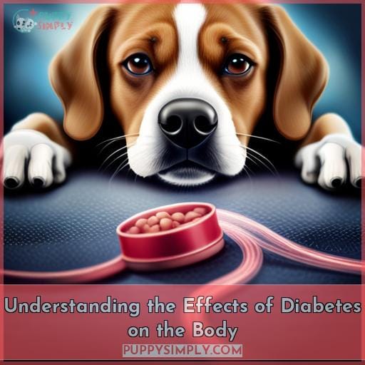 Understanding the Effects of Diabetes on the Body