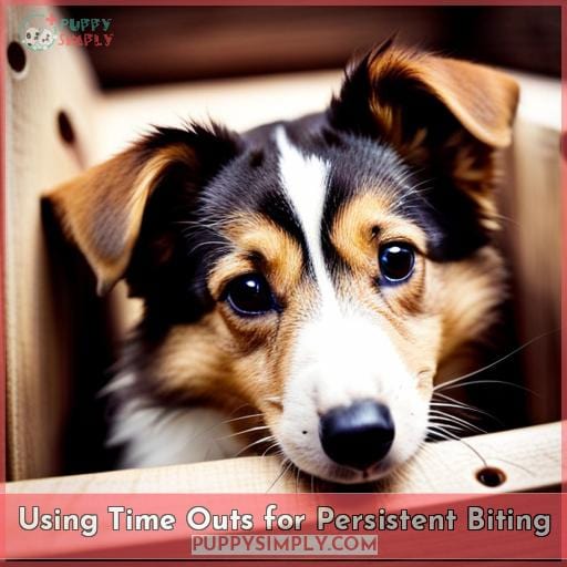 Using Time Outs for Persistent Biting