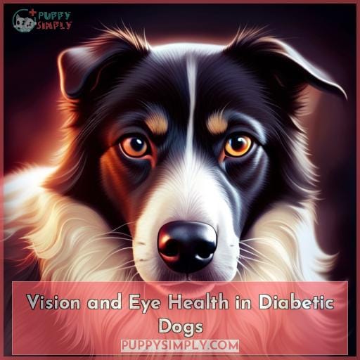Vision and Eye Health in Diabetic Dogs