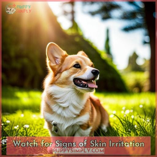 Watch for Signs of Skin Irritation
