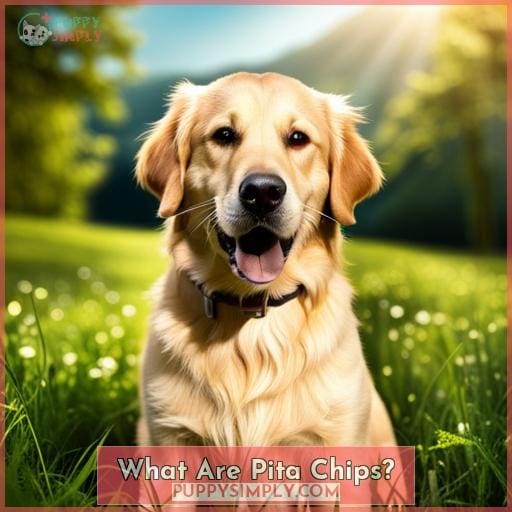 What Are Pita Chips
