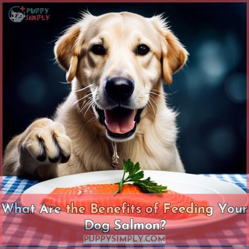 What Are the Benefits of Feeding Your Dog Salmon