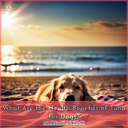 What Are the Health Benefits of Tuna for Dogs