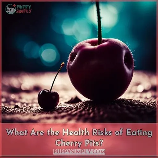 What Are the Health Risks of Eating Cherry Pits