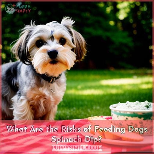 What Are the Risks of Feeding Dogs Spinach Dip