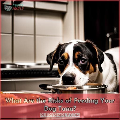What Are the Risks of Feeding Your Dog Tuna