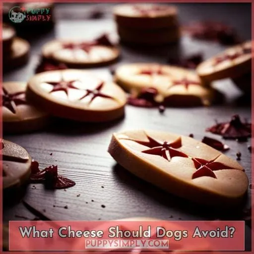 What Cheese Should Dogs Avoid