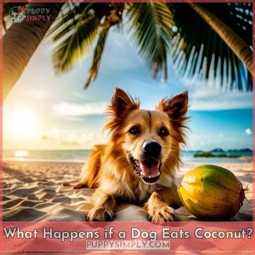 What Happens if a Dog Eats Coconut What Happens if a Dog Eats Coconut