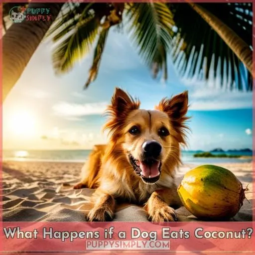 What Happens if a Dog Eats Coconut
