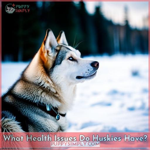 What Health Issues Do Huskies Have
