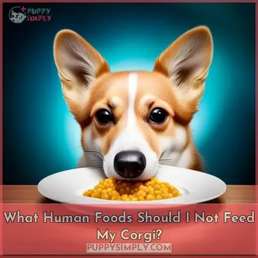 What Human Foods Should I Not Feed My Corgi