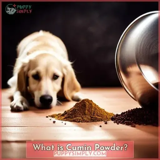 What is Cumin Powder