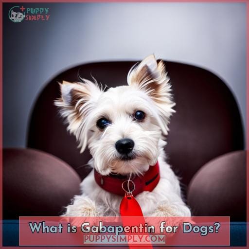 common side effects of gabapentin in dogs