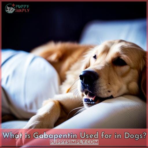 side effects in dogs using gabapentin