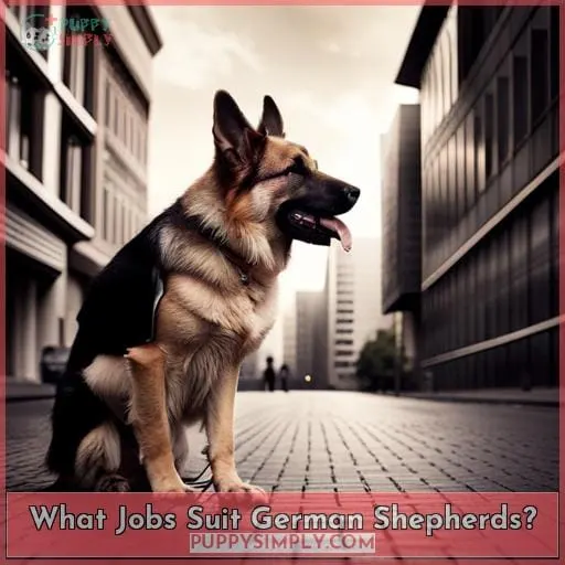 What Jobs Suit German Shepherds