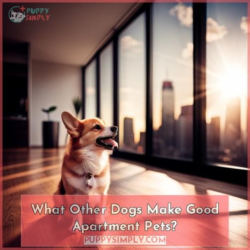 What Other Dogs Make Good Apartment Pets