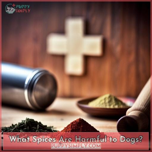 What Spices Are Harmful to Dogs