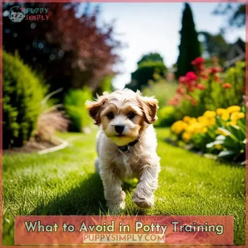 What to Avoid in Potty Training