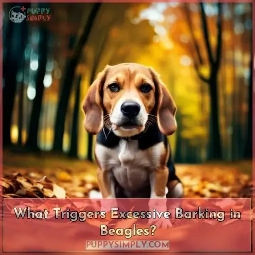 What Triggers Excessive Barking in Beagles