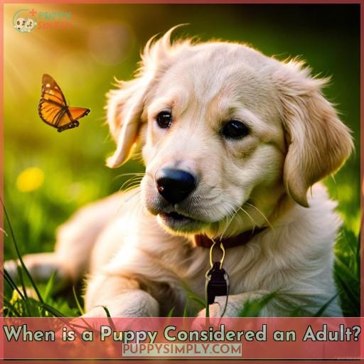 How Long Is A Dog Considered A Puppy