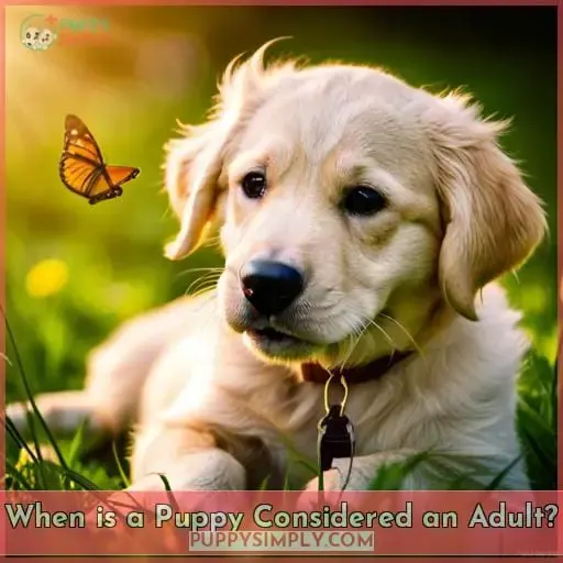 When is a Puppy Considered an Adult