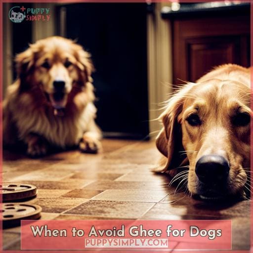 When to Avoid Ghee for Dogs