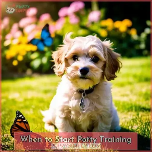 When to Start Potty Training
