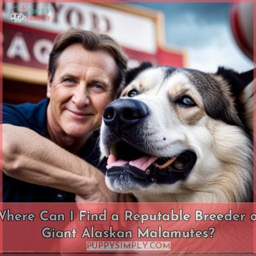 Where Can I Find a Reputable Breeder of Giant Alaskan Malamutes