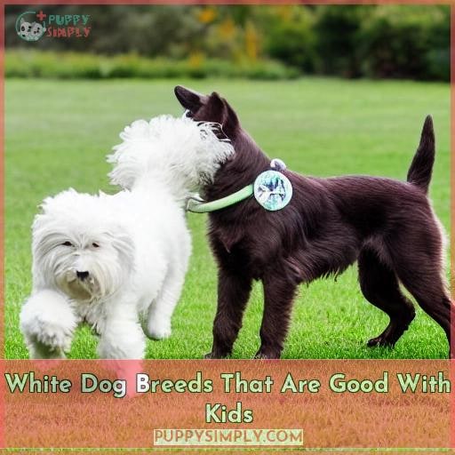 White Dog Breeds That Are Good With Kids