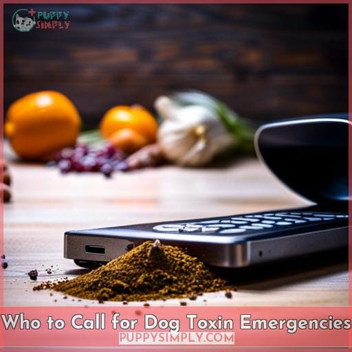 Who to Call for Dog Toxin Emergencies