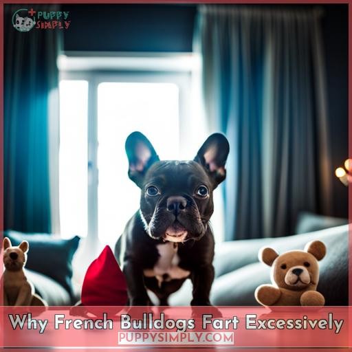 Why French Bulldogs Fart Excessively