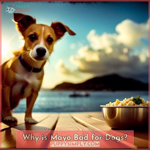 Why is Mayo Bad for Dogs