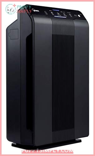 Winix 5500-2 Air Purifier with